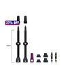 Barkeeper Tubeless-Ventil-Kit