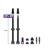 Barkeeper Tubeless-Ventil-Kit
