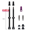 Barkeeper Tubeless-Ventil-Kit